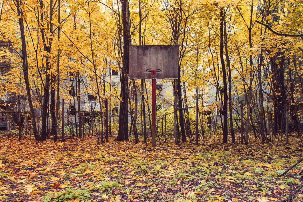Basketball Court
